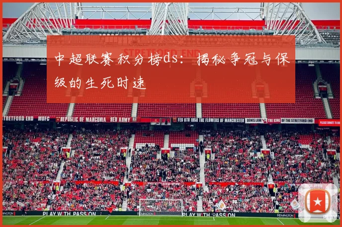 中超联赛积分榜ds：揭秘争冠与保级的生死时速